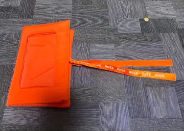 RIIZE 2025 SMTOWN 포토카드 홀더