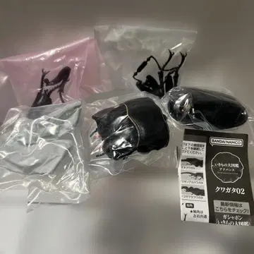 생물대도감 어드밴스 사슴벌레 02 오오쿠와가타