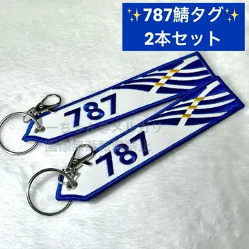 ANA 보잉 B787 초호기 특별 페인팅 한정판 플라이트 택 2개 세트