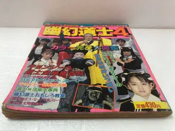 유환도사 4 컬러 완전 대도감