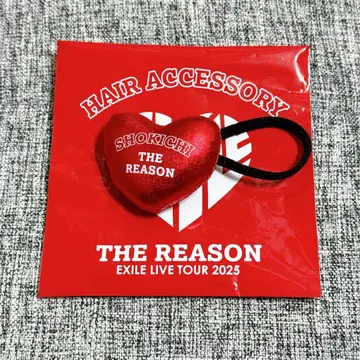 EXILE THE REASON SHOKICHI 머리끈