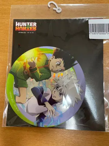 아베일 HUNTER x HUNTER BIG 캔뱃지