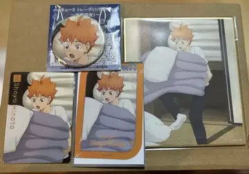 하이큐 이온 페어 결전 전야! 히나타 쇼요 세트