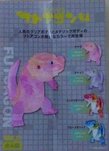 후토아곤 4 BOX TOY 판 전 4종 컴플리트 세트 상자 없음