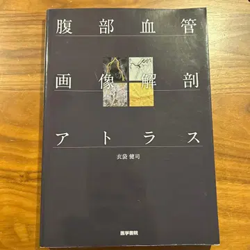 복부 혈관 이미지 해부 아틀라스