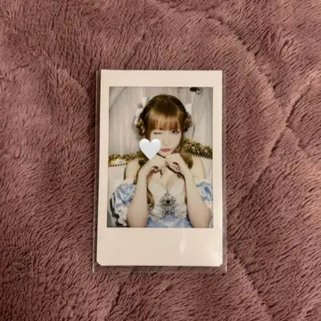 센리츠 카나노 생탄제 2025 란체키