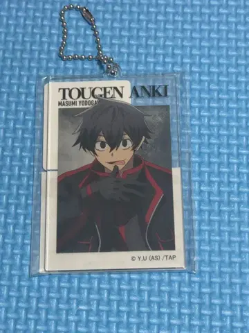 도원암귀 베이스야드 도쿄 아크릴 빅 택 요도가와 마스미