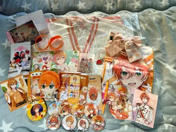 스토푸리 젤군 묶음 판매 11월 8일까지 가격 인하 판매