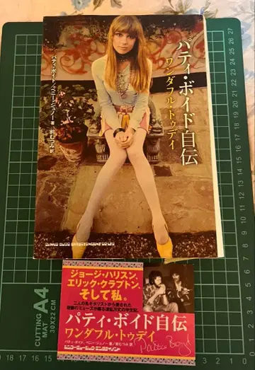 패티 보이즈 자서전 원더풀 투데이