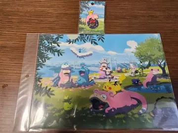 포켓몬 센터 카가와 로고 핀즈 클리어 파일 피카츄 야돈 카가와