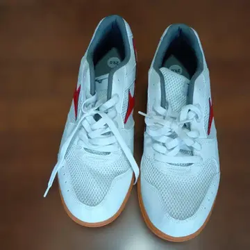 MIZUNO/미즈노 체육관 신발 29cm 화이트 x 레드