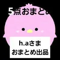 h.a님 묶음 판매 5점