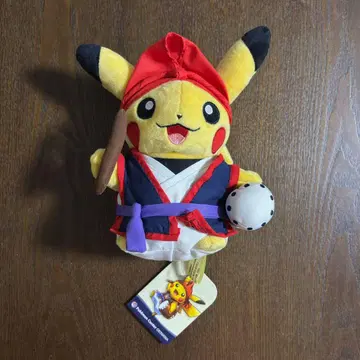 에이서 피카츄 봉제 인형 포켓몬 센터 온라인