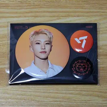 SEVENTEEN BE THE SUN 캔뱃지 호시