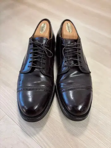 [ Alden ] 펀치드 캡토 코도반 신발