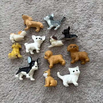 리카짱 반려동물 샵의 동물만