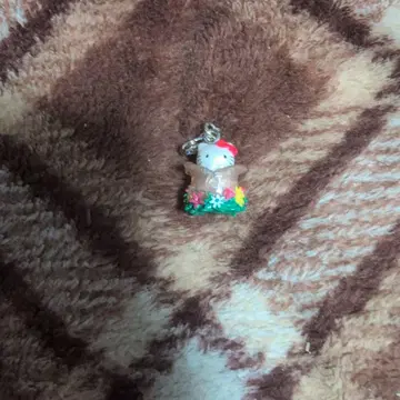 키티 기후 플라워 페스티벌