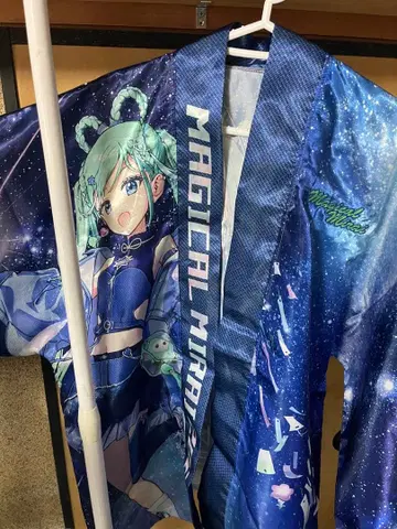 하츠네 미쿠 매지컬 미라이 하피 (법피) 2025 중고