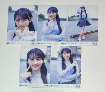 노기자카46 브로마이드 5종 컴프 카와사키 벚꽃 생각하지 않으려고 해