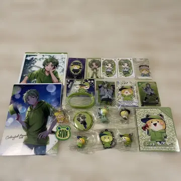 컬러풀 피치 시바님 묶음 판매