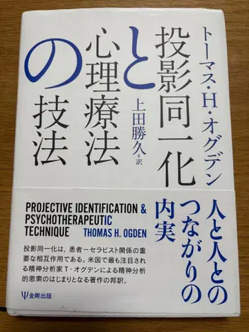 투사 동일시와 심리 치료 기법