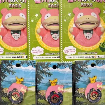 포켓몬 센터 카가와 한정 야돈 피카츄 로고 핀즈 3개