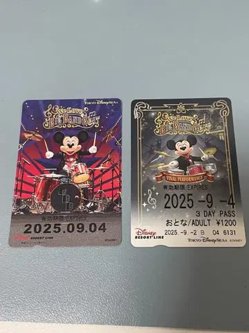 [ 익명 배송 ] 디즈니 리조트 라인 프리 티켓 기간 만료 리조트 라이너