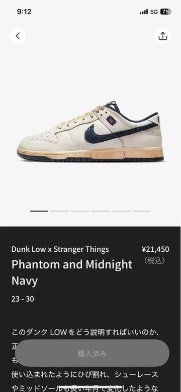 Dunk Low x Stranger Things Phantom 27.5