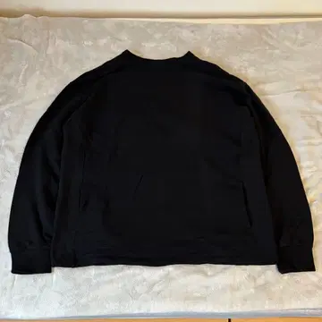 icebreaker 리얼 플리스 롱 슬리브 크루 IA52272