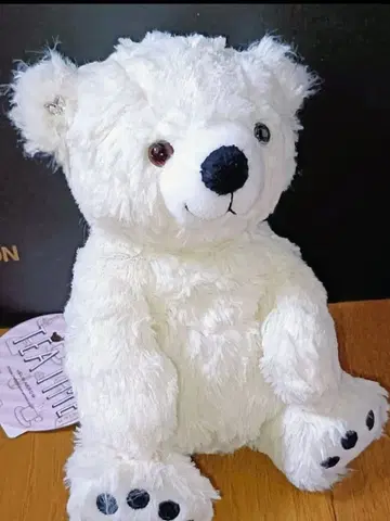 컨디션 최상 선애로우 TEATIME 테디베어