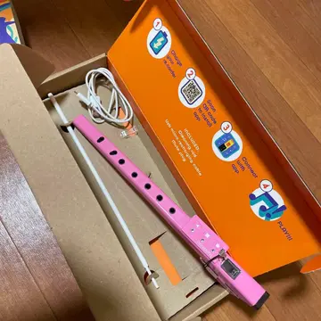 전자 리코더 루나티카