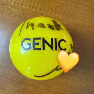 GENIC 무도관 니시모토 마이 사인볼