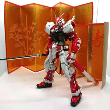 RG 건담 아스트레이 레드 프레임