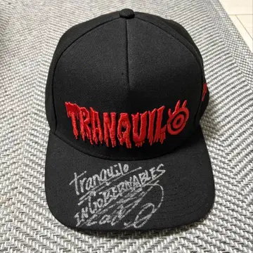 나이토 테츠야 선수 NEW ERA 뉴에라 캡 친필 사인입