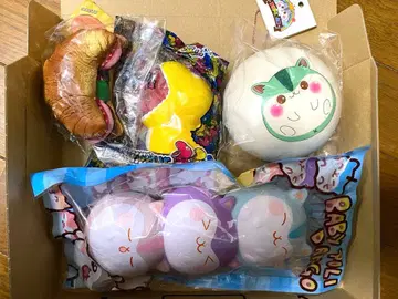 스퀴즈 세트 묶음 판매 폴리