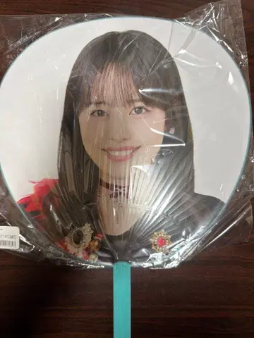 안쥬르므 고토 하나 솔로 점보 부채 하로프로 2025 봄 투어