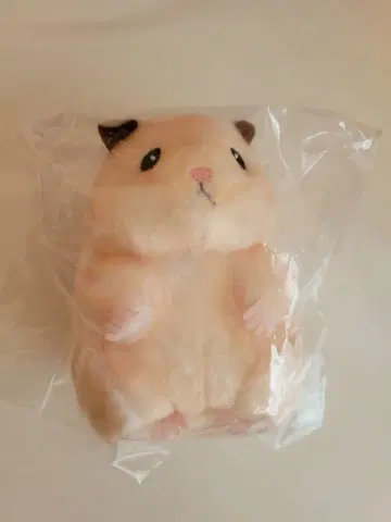 ZB1 제베원 봉제 인형 스케로쿠 마스코트 성한빈 한빈