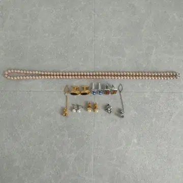 액세서리 9종류 (목걸이, 버튼, 귀찌, 참)