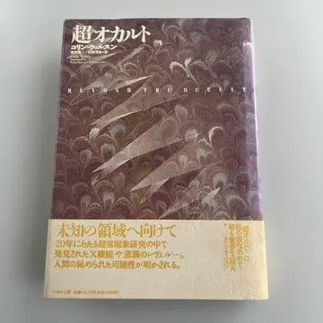 초 컬트 코린 윌슨