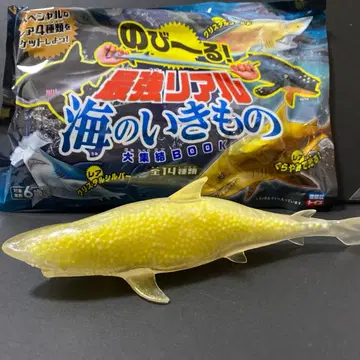 쭉쭉 늘어나는 최강 리얼 바다 생물 족제비상어 레어