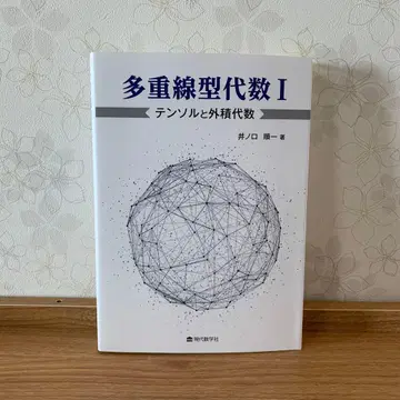 다중 선형대수학 I