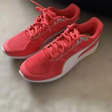 새상품! PUMA 스니커즈 24cm