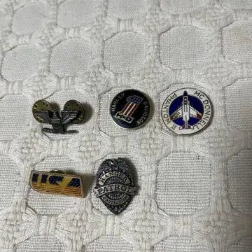 미국 디자인 핀 배지 세트