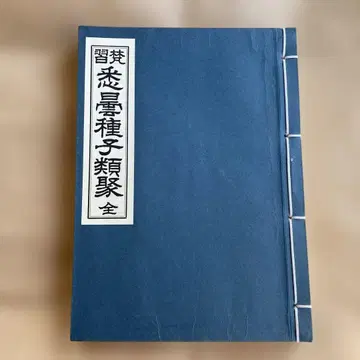 범습 실담종자류취 전 유인