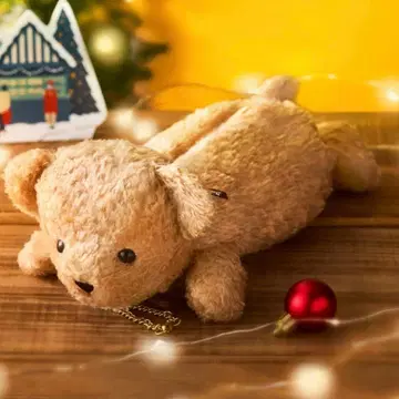 타 누워있는 베어풀 파우치 2025