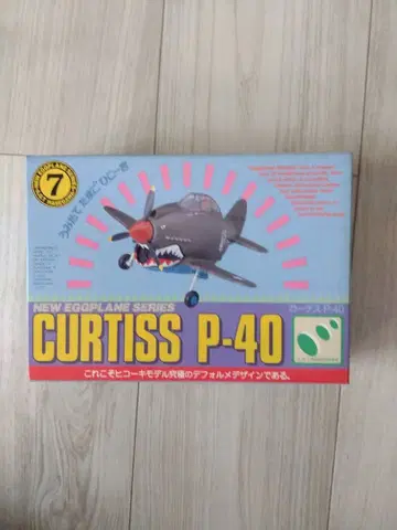 CURTISS P-40 NEW EGGPLANE SERIES NE-7