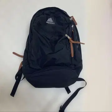GREGORY 블랙 백팩 26L