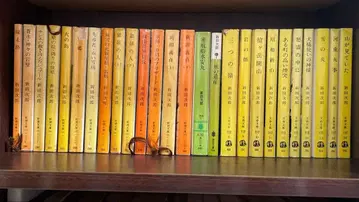 신타 니타 작품집 전 26권