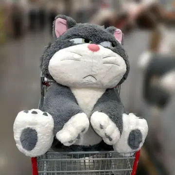 담요 포함 신데렐라 루시퍼 봉제 인형 약 80cm Disney