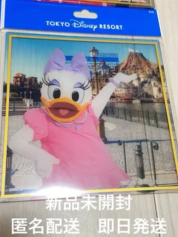 [미개봉 새상품] 클리어 색지 데이지 아크릴 그리팅 사인 실사